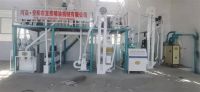 10噸玉米糝、粉聯(lián)產生產線  日產